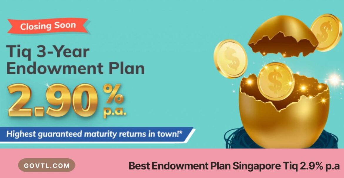 Tiq Endowment