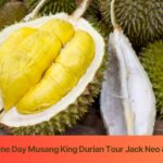 Eu Holiday One Day Musang King Durian Tour Jack Neo & Henry Thia $168