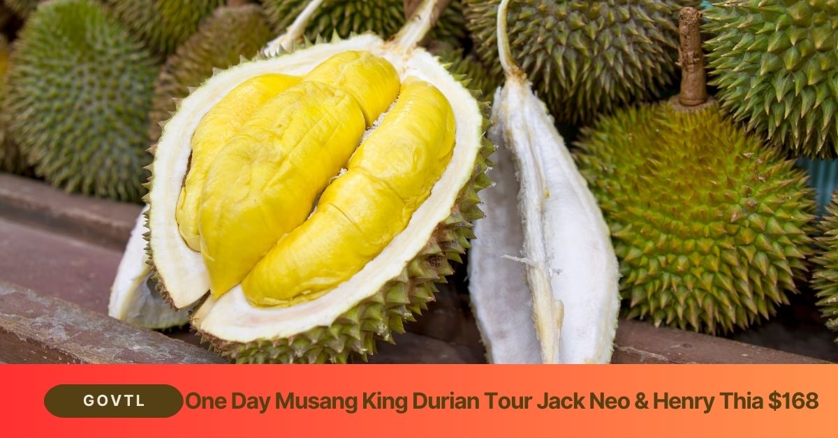 Eu Holiday One Day Musang King Durian Tour Jack Neo & Henry Thia $168