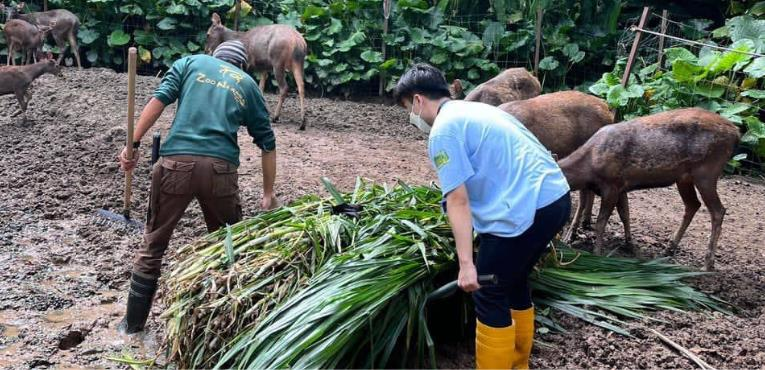 Zoo Negara KeeperKu 