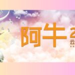 ANiu Concert 2023