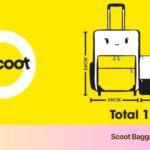 enjoy up to 10kg* cabin baggage allowance - 3kg more than most low-cost carriers