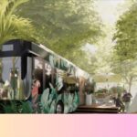 The Bus Collective