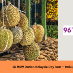 🚌 1D MSW Durian Malaysia Day Tour — Indulge in the King of Fruits!