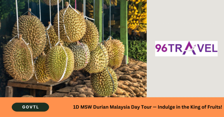 🚌 1D MSW Durian Malaysia Day Tour — Indulge in the King of Fruits!